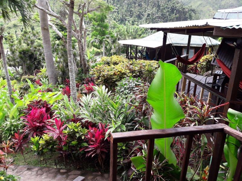 Hibiscus Valley Inn image