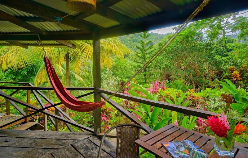 Hibiscus Valley Inn image