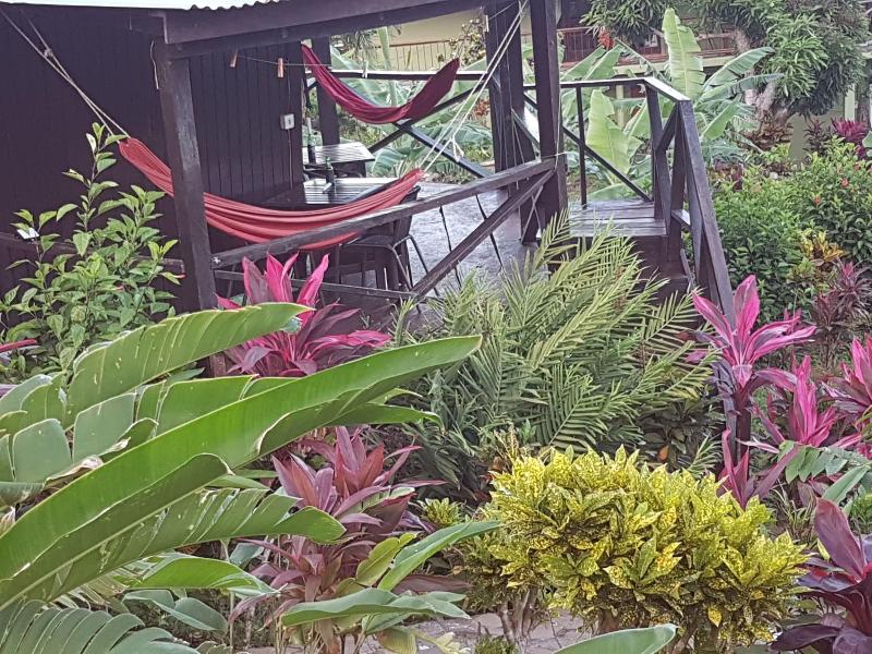 Hibiscus Valley Inn image