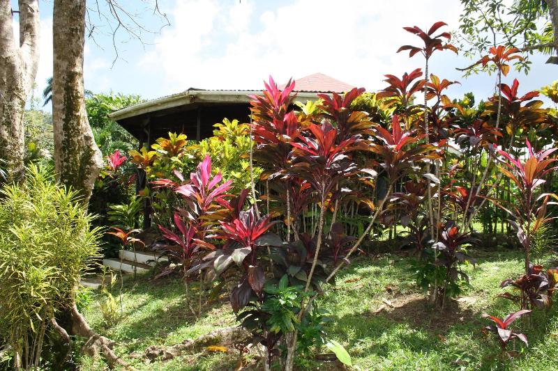 Hibiscus Valley Inn image