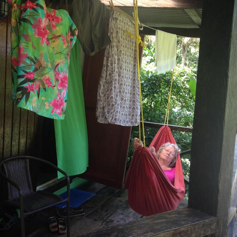 Hibiscus Valley Inn image