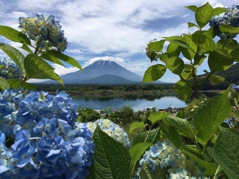 Shoji Mount Hotel image
