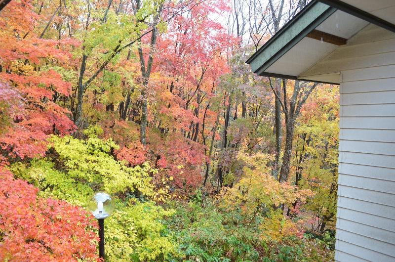 Resort Pension Shikisai — general view