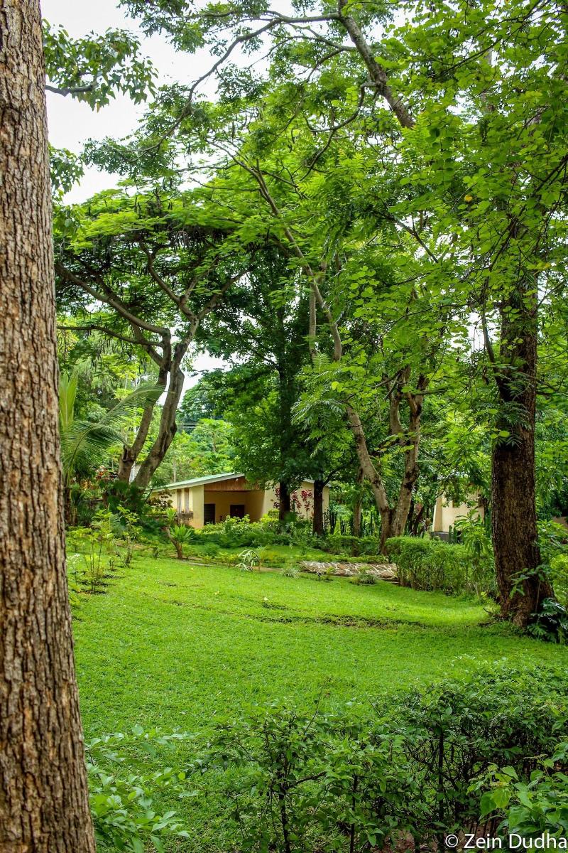 Villa 33 image