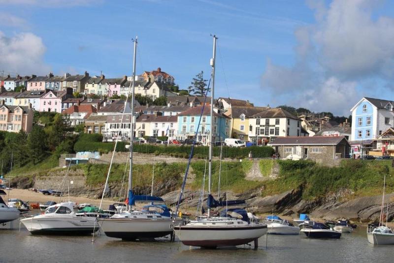 Penwig image