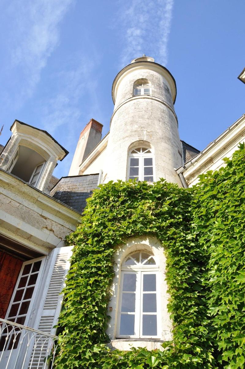 Cha Teau Du Plessis Anjou image