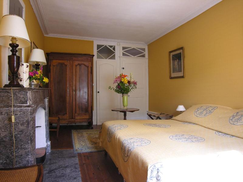 Cha Teau Du Plessis Anjou image