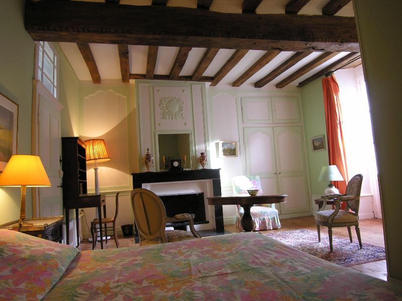 Cha Teau Du Plessis Anjou image