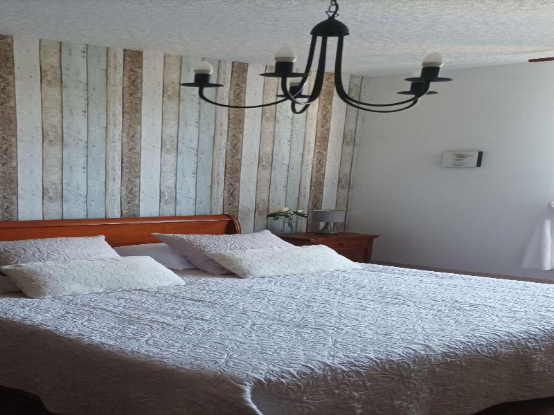 Chambre D Ha Tes Montplaisir image