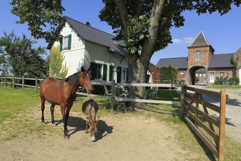 Domaine De La Ferme De Ribeaufontaine image