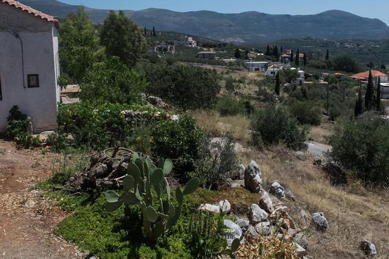 Petritis Guesthouse image