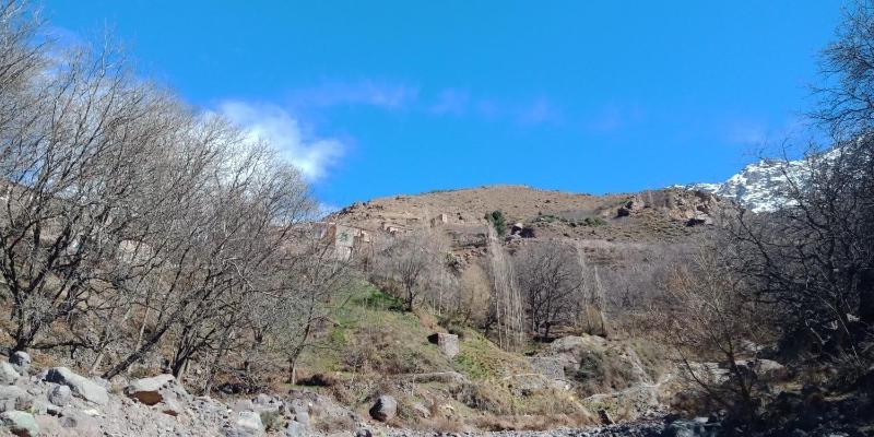 Dar Adouss image