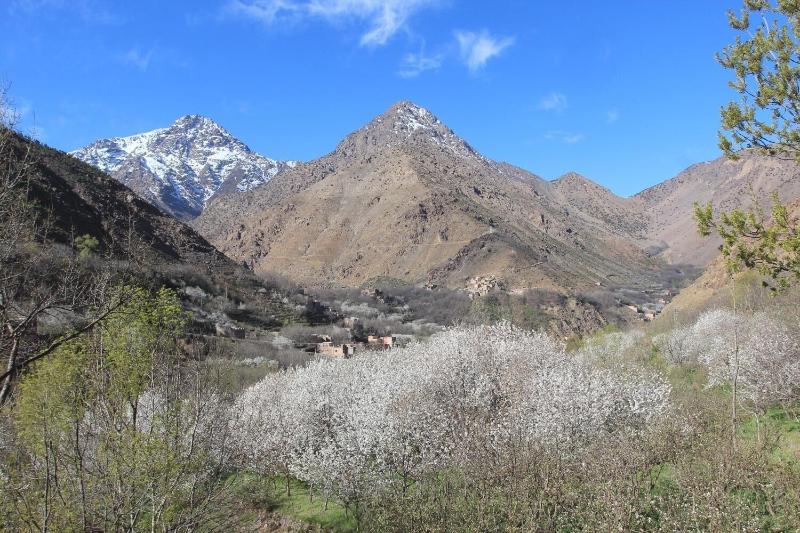 Dar Adouss image
