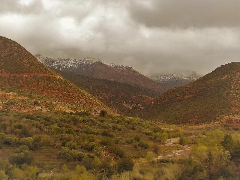 Dar Adouss image