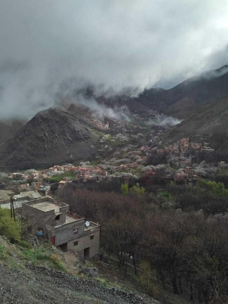 Dar Adouss image