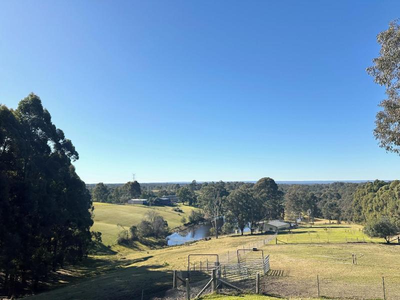 Blueberry Hills On Comleroy image