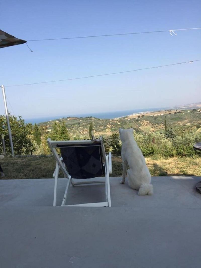 Bontempo Suite image