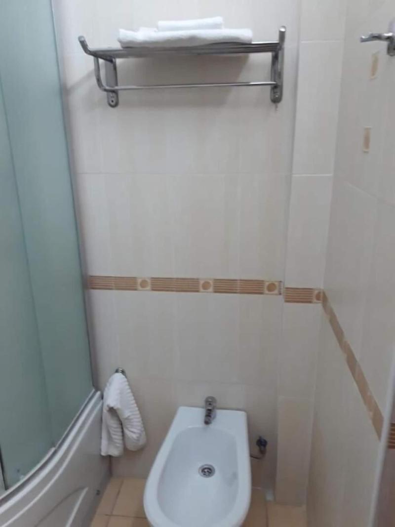 Hotel Botakoz image