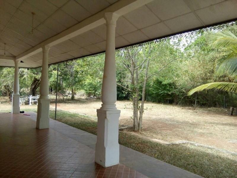 Nelum Villa image
