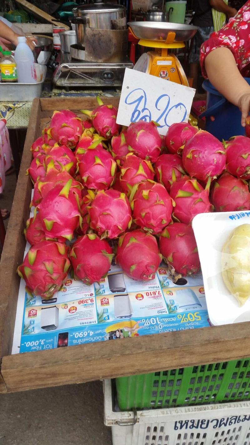 Longan Tree image