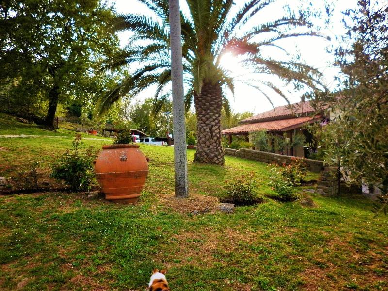I Poderi image