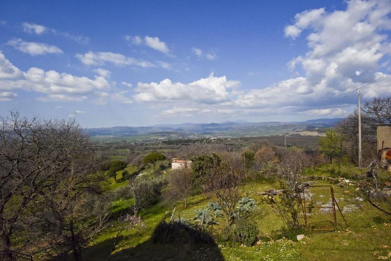 I Poderi image