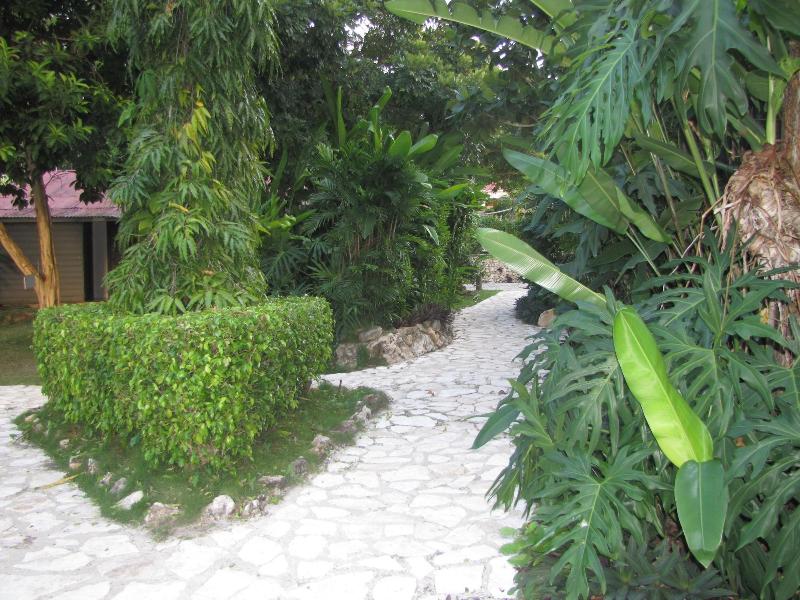 La Casa De Don David image