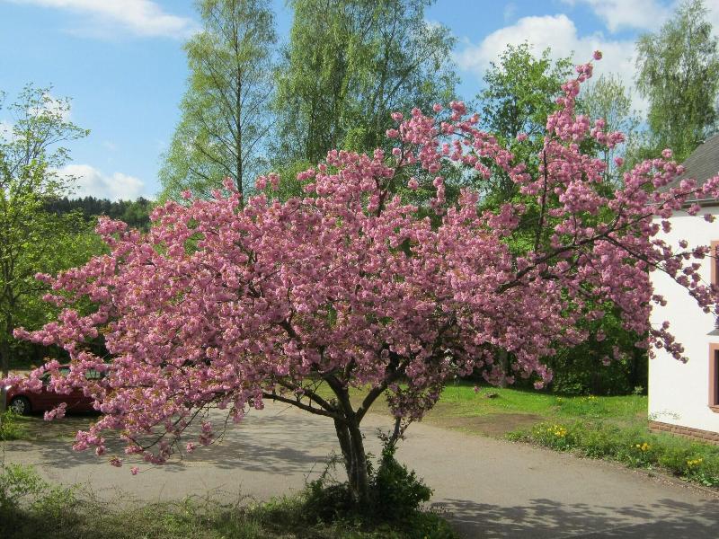 Stiftsberg Bildungs Und Freizeitzentrum image