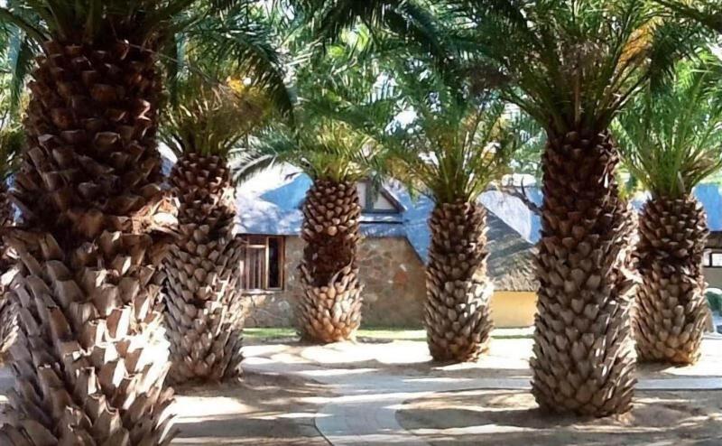 Tautona Lodge image