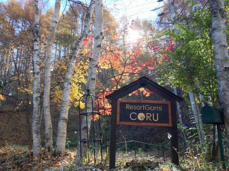 Resort Garni Coru image
