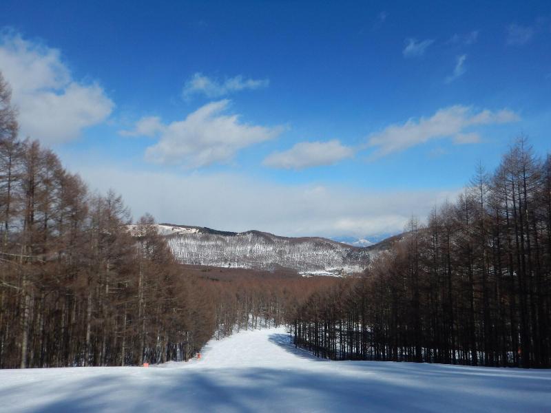Resort Garni Coru image