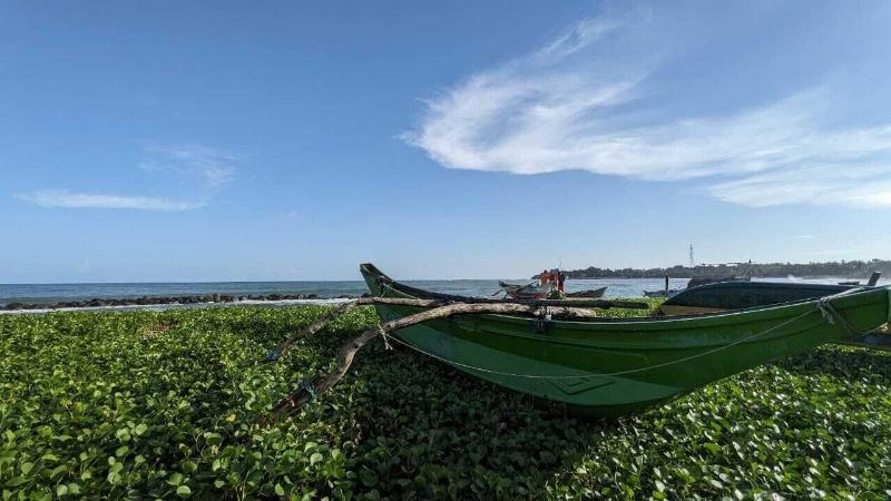 Sadika Guest House image