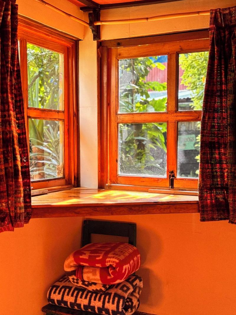 La Iguana Perdida Hostel image