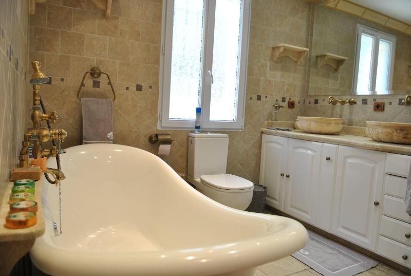 Villa Quinissole image