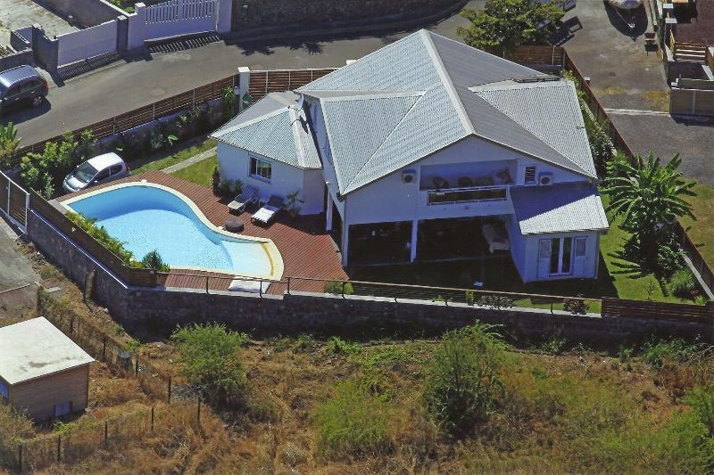 Araucaria — main photo
