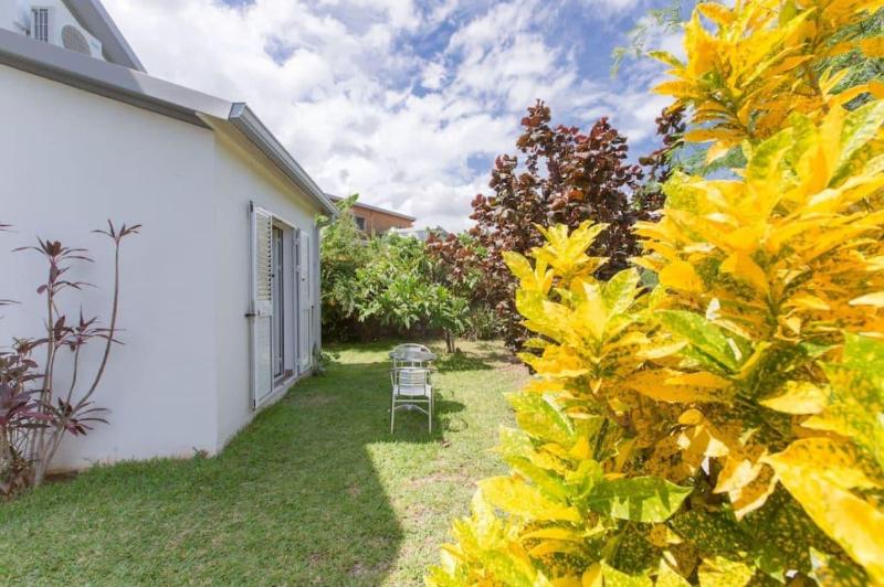 Araucaria — photo 2