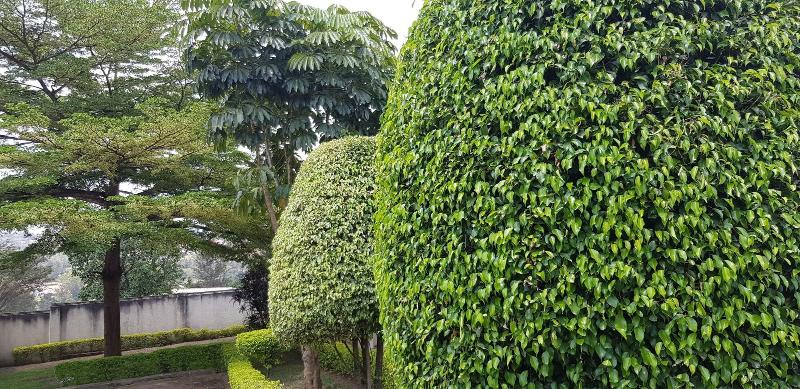 Tinho Guest House — photo 2