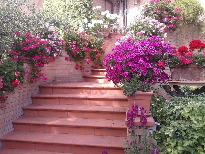 Bed And Breakfast Europe — photo 2