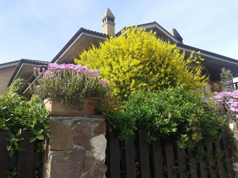 Bed And Breakfast Europe — photo 3