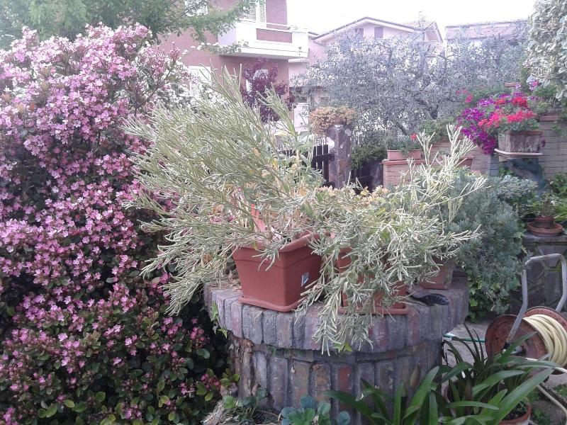 Bed And Breakfast Europe — photo 4