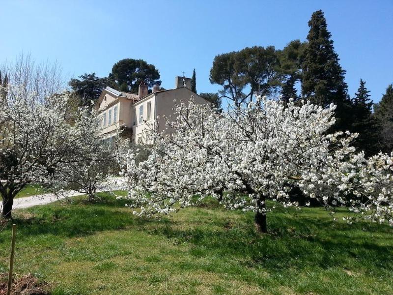 La Royante — photo 4