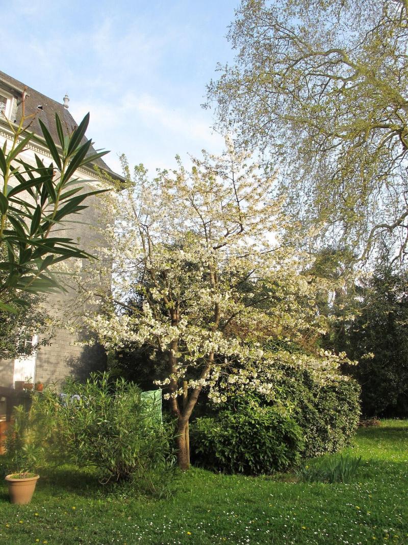 Villa Dampierre image
