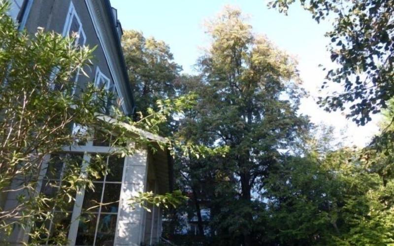 Villa Dampierre image