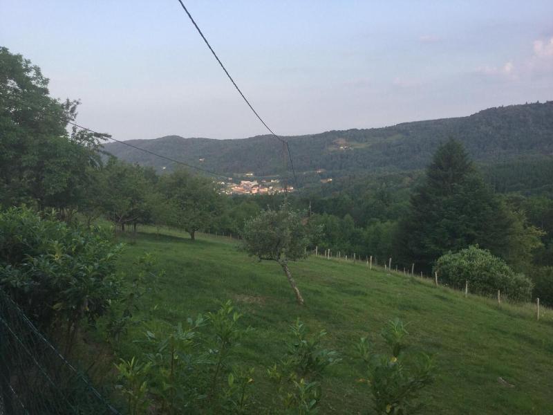 La Ferme De La Haut B B — photo 2