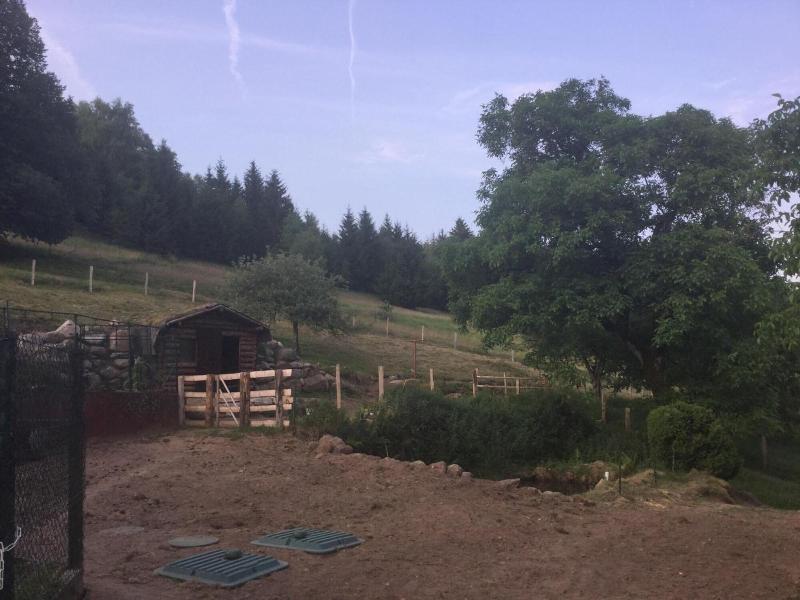 La Ferme De La Haut B B — photo 3