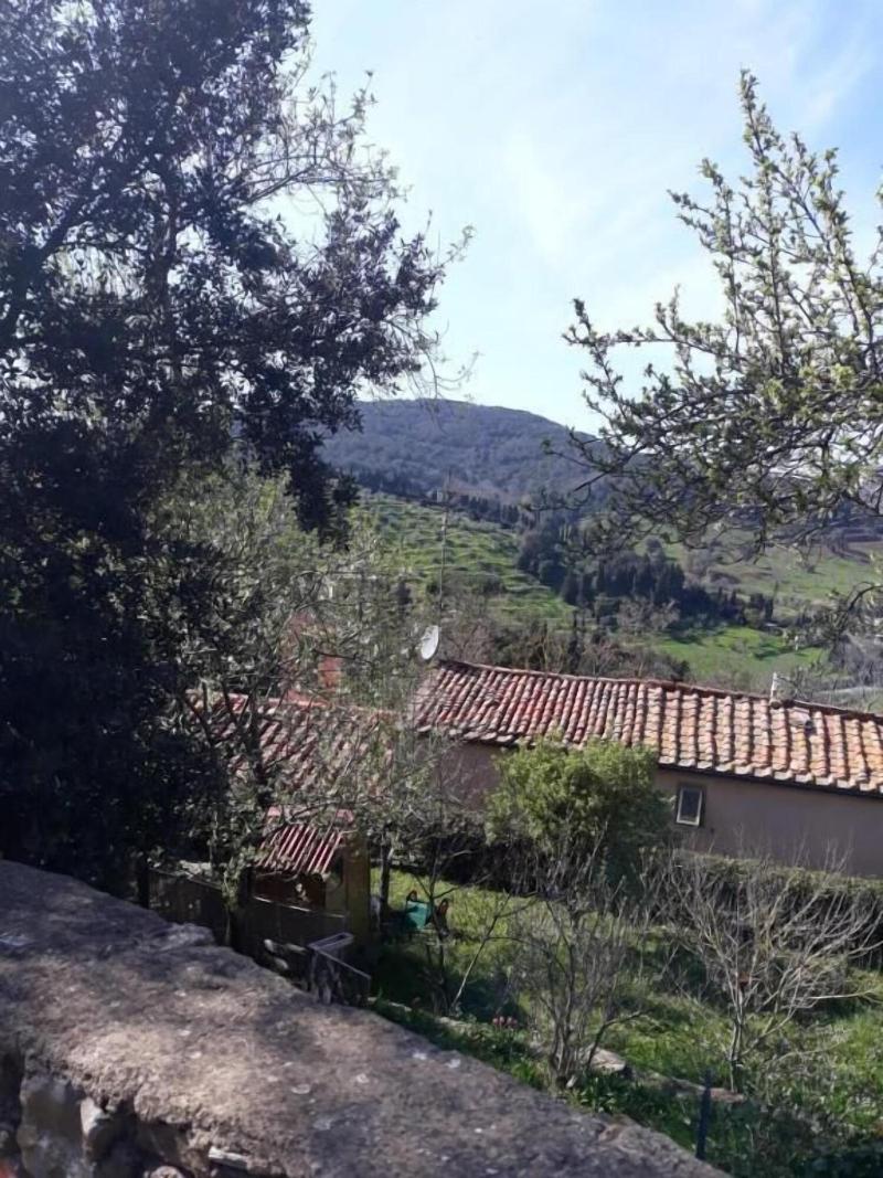 Alcavour21 image