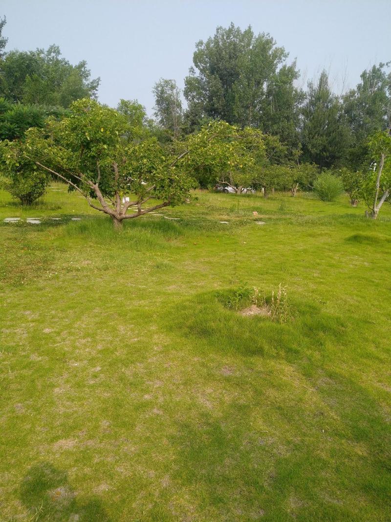 Solar Food Drink Campsite