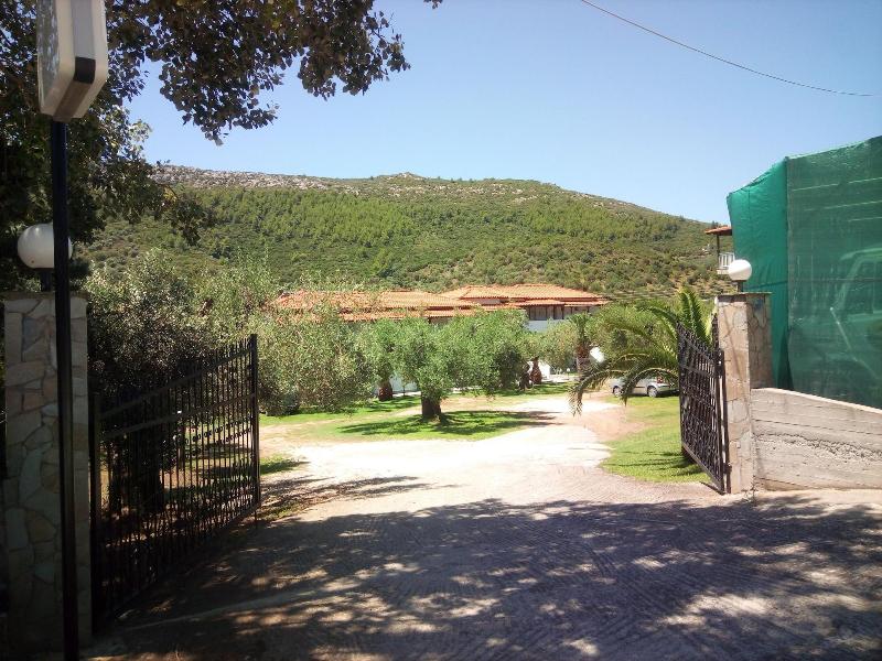 The Port — main photo