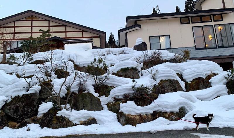 Kawachou — photo 3