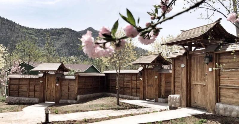 Yun Ju Courtyard Apartment — photo 3